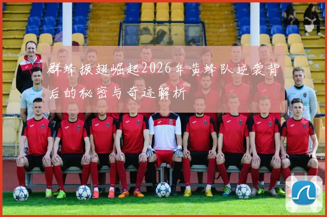 群蜂振翅崛起2026年黄蜂队逆袭背后的秘密与奇迹解析